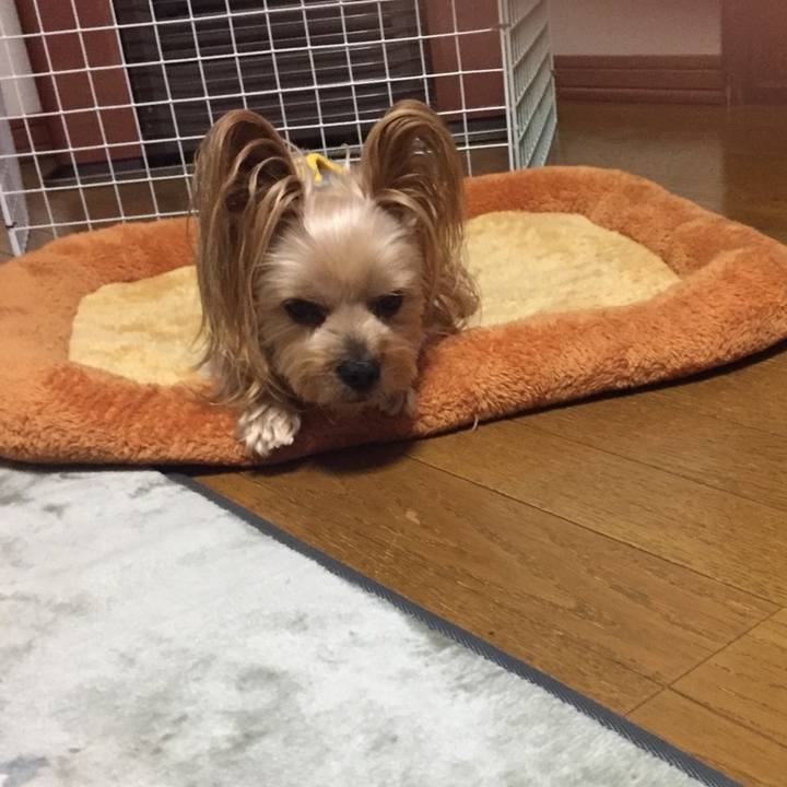 5e317970 4b7d 4636 be9c 96ffed45ef5b 1539045079338