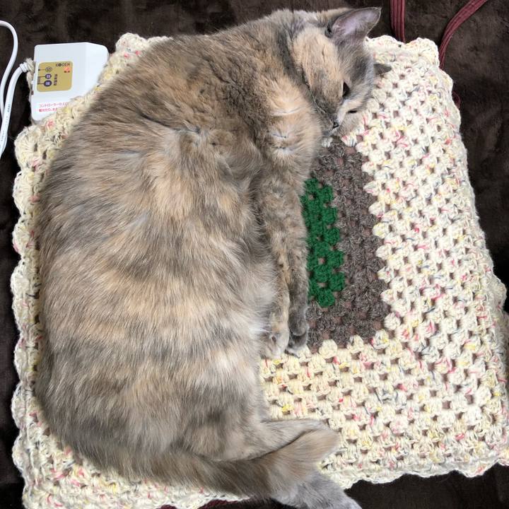 5e319782 4c06 433d bdf6 e1b3f06d42bf 1672443412658