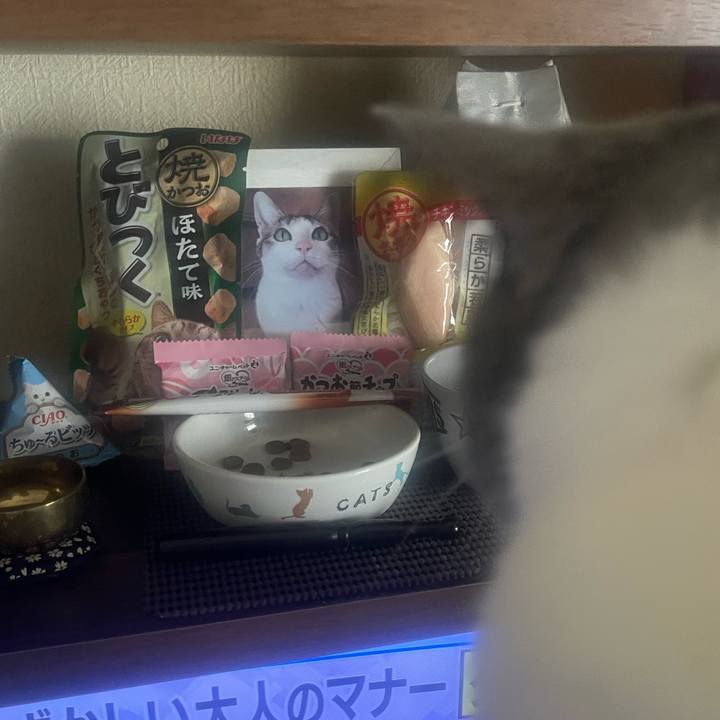 5e31ae35 1f02 45c8 86df 43d95c0e237c 1755153276195