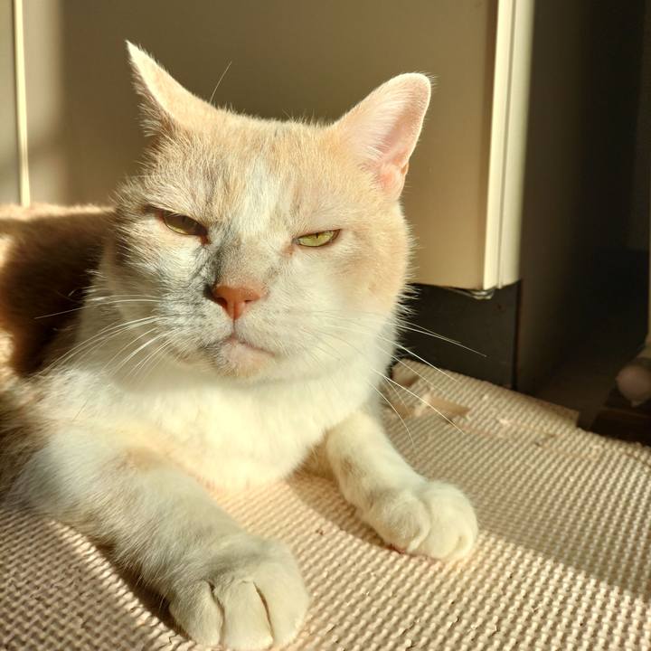 5e31b437 449b 4b27 97da 97f98a8b7e48 1632282150078