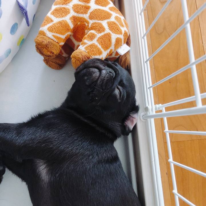 5e31c124 bd96 496d 8682 ace60018de51 1589585843668