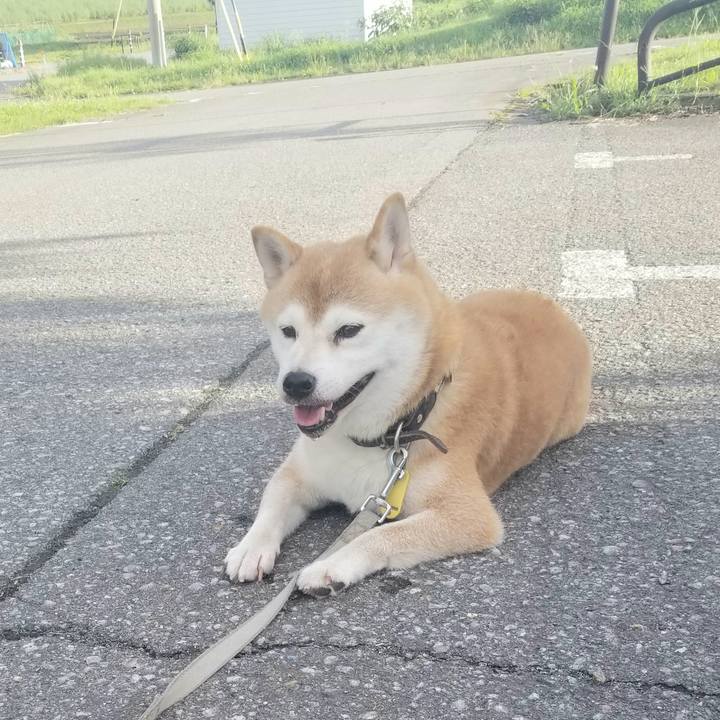 5e31c630 7581 4ad7 a972 f5eb002e997a 1629274223692