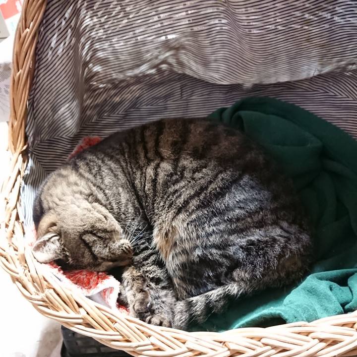 5e31d54b aae7 4b2e af19 a56f954c6231 1640343923821