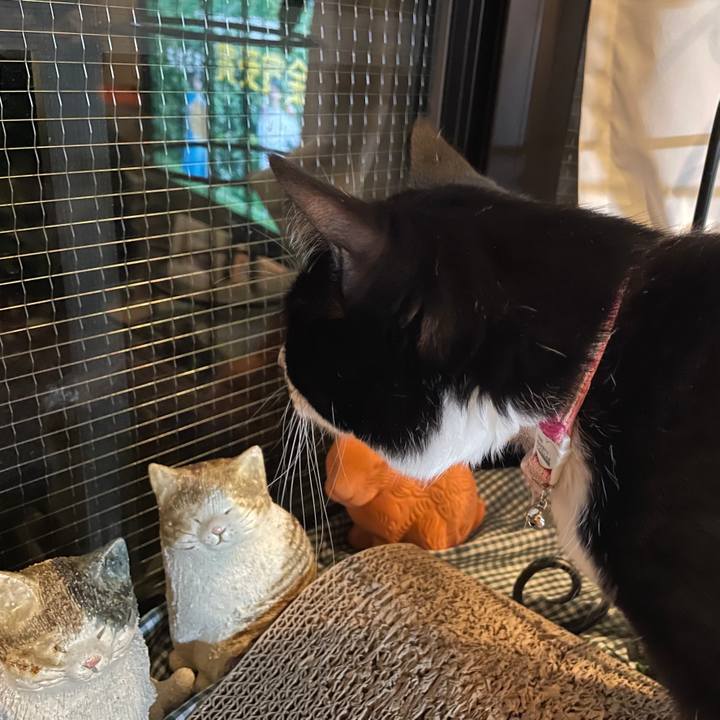 5e31e31c 54f0 4438 ad6c e128679fa750 1651927758428