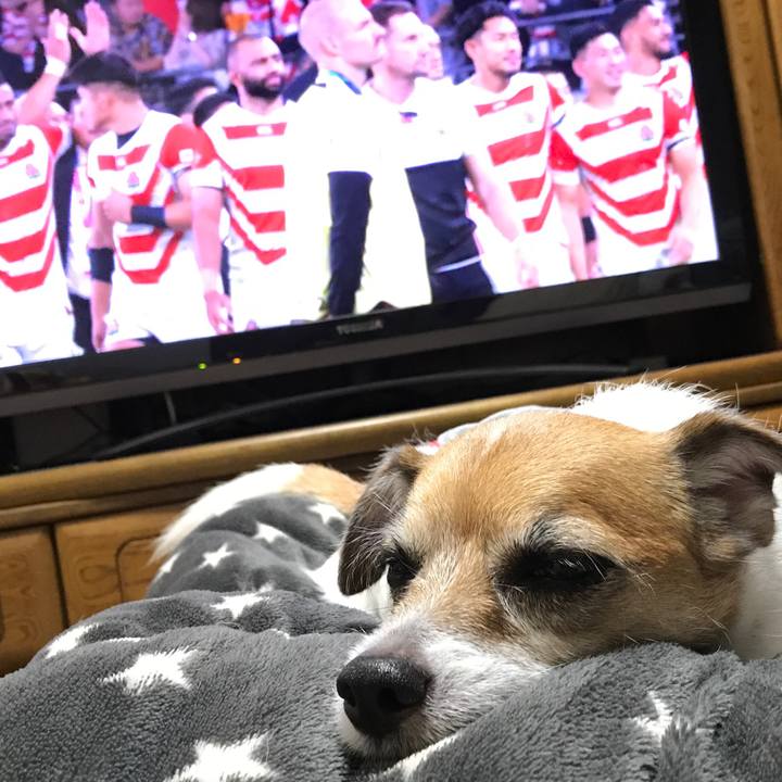 5e3215b7 3010 48c4 a120 d65417203a84 1571576147212