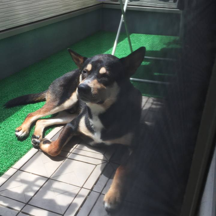 5e324f59 1ded 4a5d a514 2d46ed365a6c 1527387845718