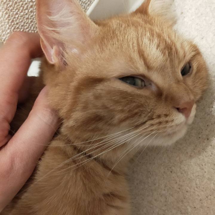 5e3273d3 fccb 43ca b551 8dc6da2a6d44 1594337819740