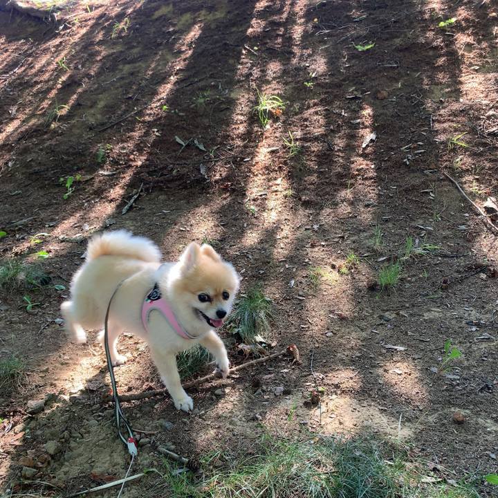 5e327d0a 7760 4832 a760 f1d642aa00c8 1630373783287