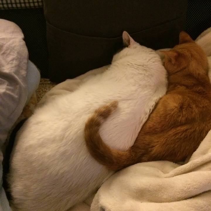 5e32b5ff 3635 4a59 b1f8 0e7a13a7264e 1539099800216