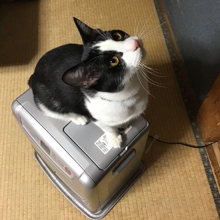 5e32c4bc 0578 42af ba51 e8273ce83a3b 1639813543217