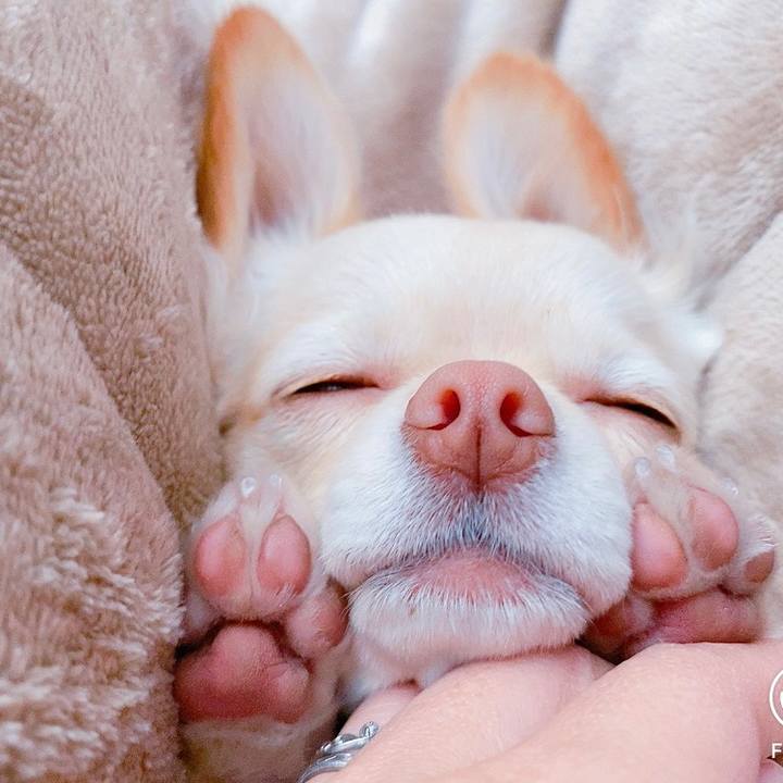 5e32d237 694f 4df9 859b 6018c67f93c5 1612854750478