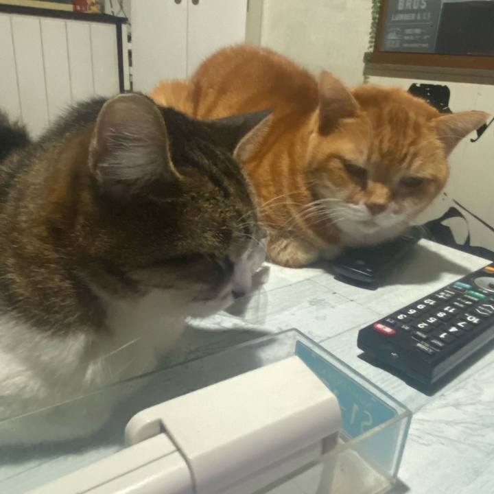 5e32dbe1 3b71 4734 ad78 d95b62178f8a 1737557340387