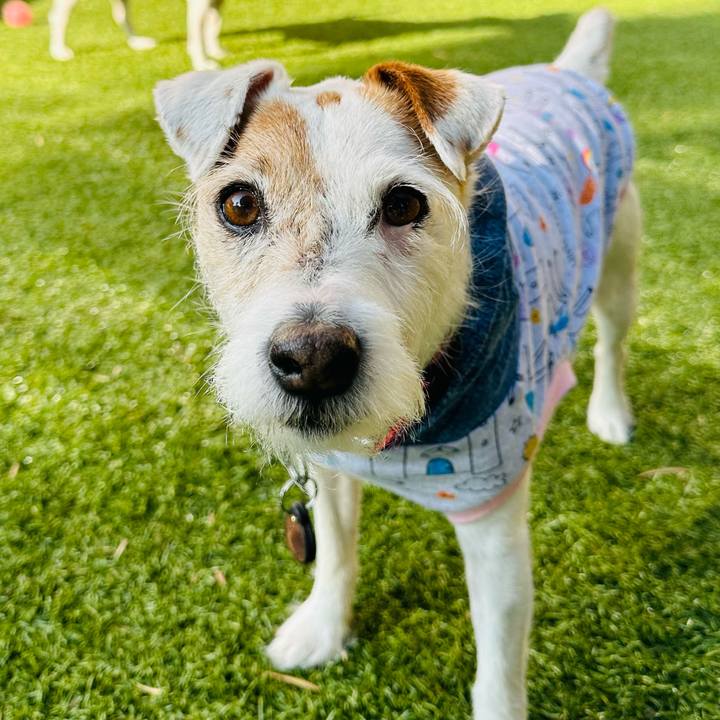 5e332826 389a 4541 8d98 a2b4da6e9b3b 1705690754333