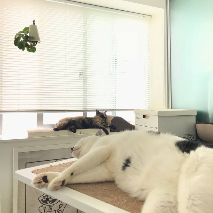 5e334ea7 588a 4737 a8e9 4abfc29e8f45 1527727752887