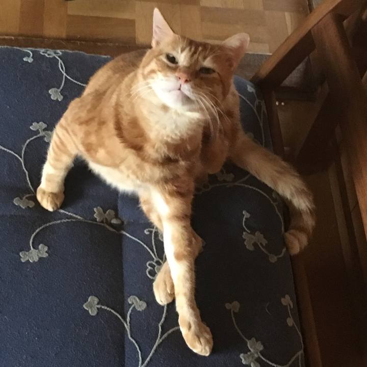 5e335327 6b4f 4ba0 a25f 319519833725 1534925956388