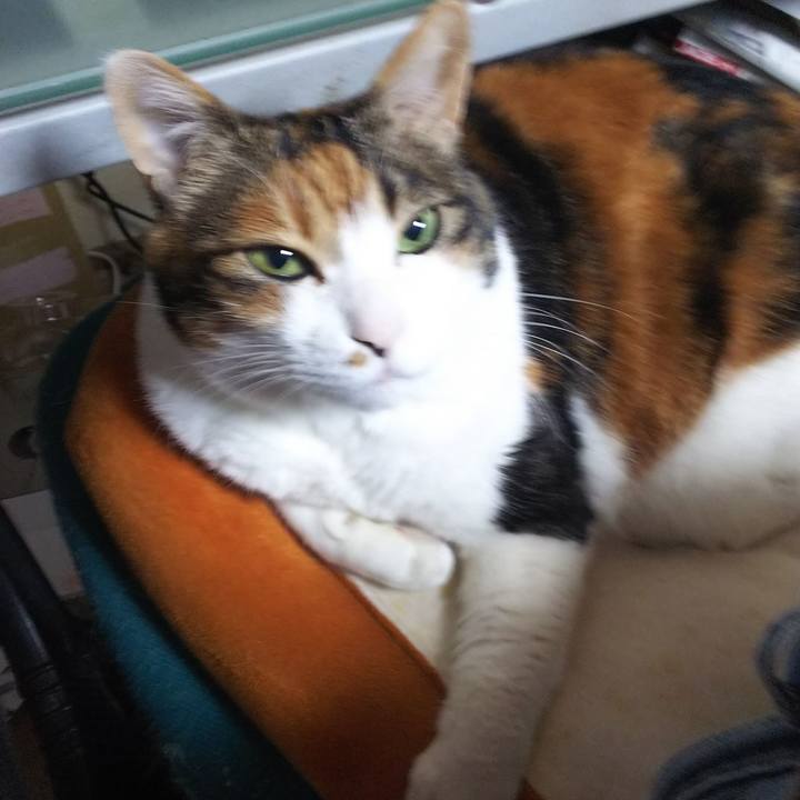 5e33748b c39d 4618 b171 ded39a67e158 1551300754079