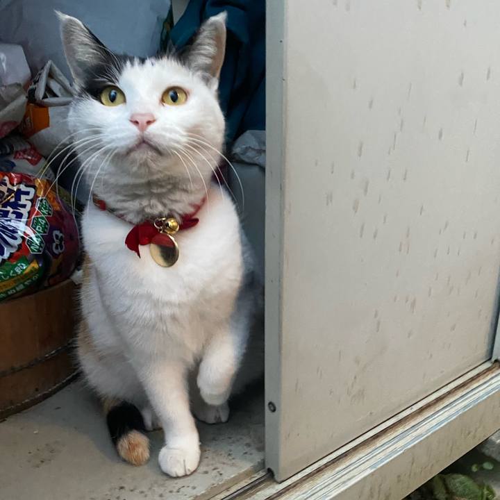 5e339c09 8e90 4199 8276 f202e238574b 1640818115345