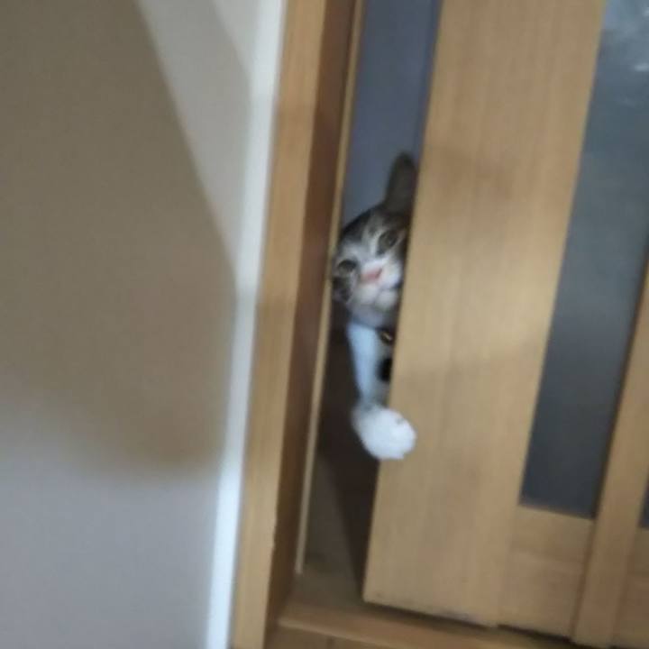 5e33a951 f912 4a6c a5ae 46093ea129a0 1640730787040