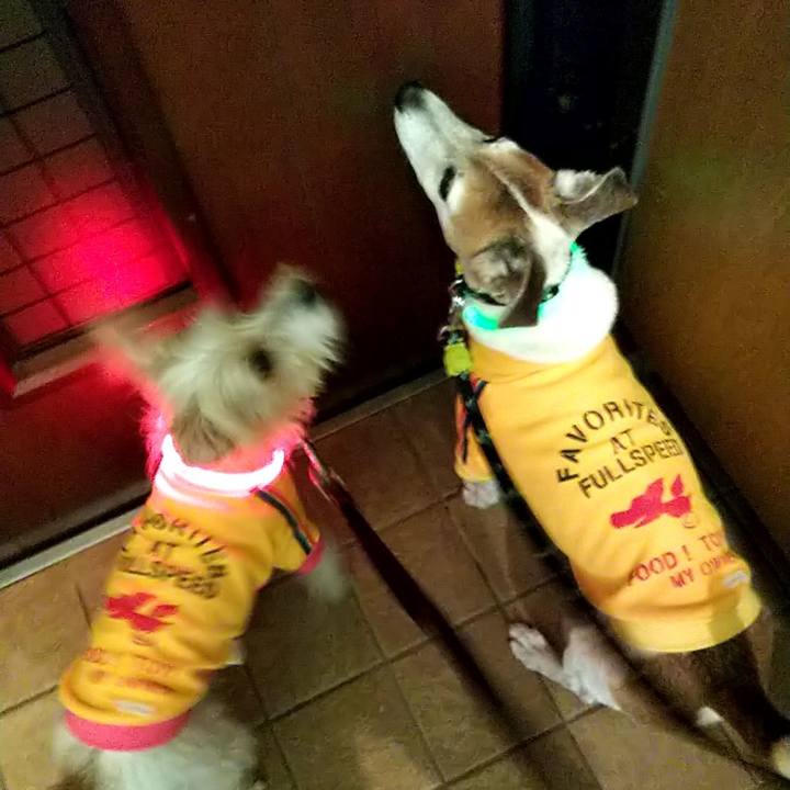 5e33b9aa 248f 4ae6 9bc3 85b404bd8f04 1577794528085