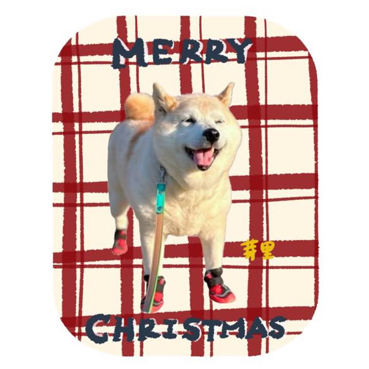 5e33c5c9 1842 4ec3 8285 98a90961554a 1765336222288