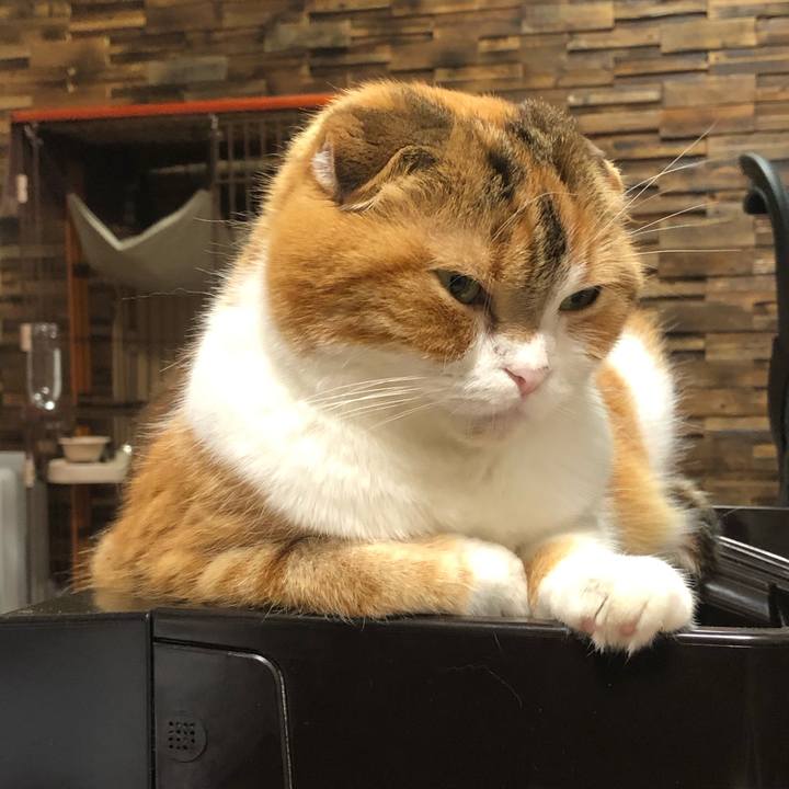 5e33f323 e2be 4689 ae99 9f5475229aac 1621082766466