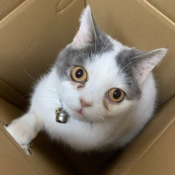 5e3400a5 f28f 499a b731 1d231ce0da1c 1698886776633