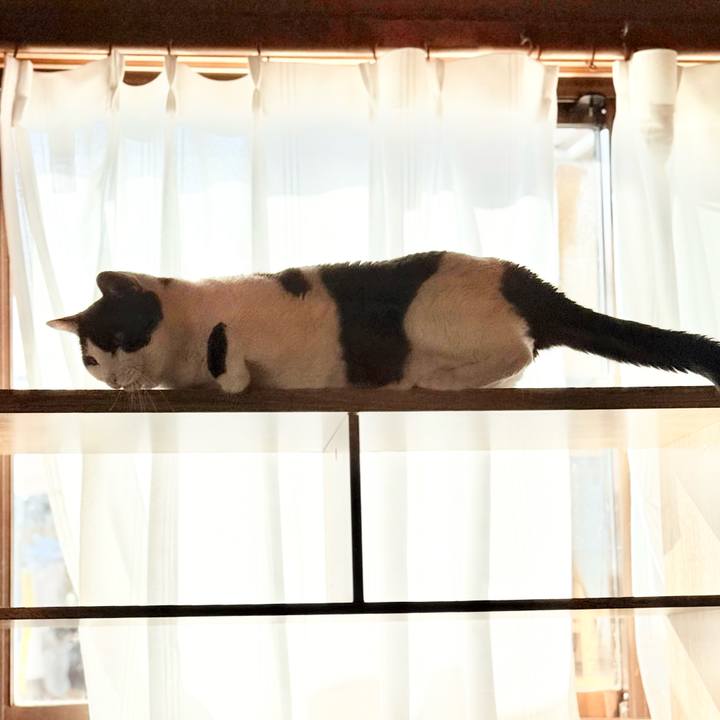 5e342ace 9a76 4750 9e48 bd1419882637 1742521018854