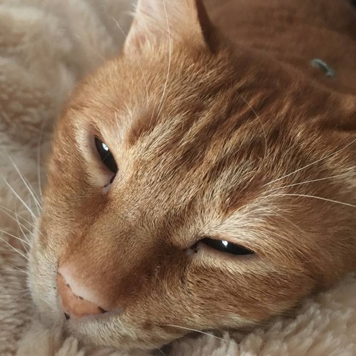 5e343e29 d8ad 4963 b0e5 375ccd0fcbe9 1547276245642