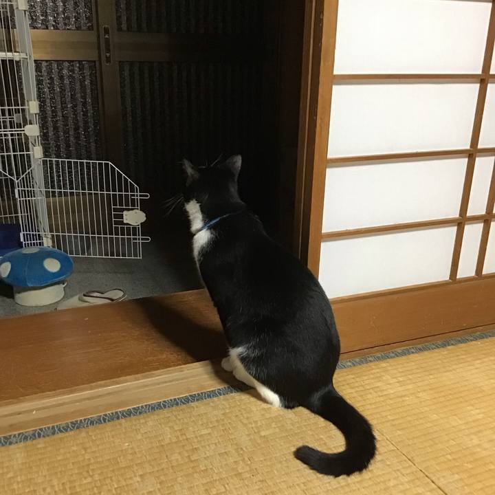 5e3446be c921 4293 a5c1 0694f16f642e 1694607867788