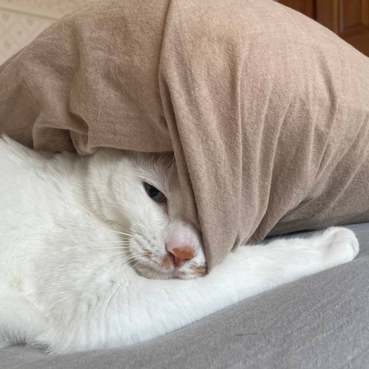 5e34647c 984e 442f ab2a 51cc2aba104a 1687162904176