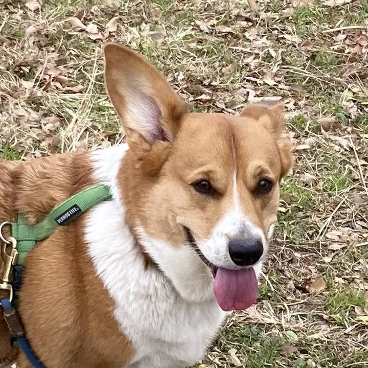 5e347c91 7b8d 4052 bcbe a8b3241f0b3f 1705451972898