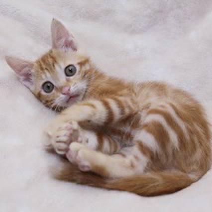 5e34a424 2281 414e 8ef4 f7c3e35f18e3 1683247140407