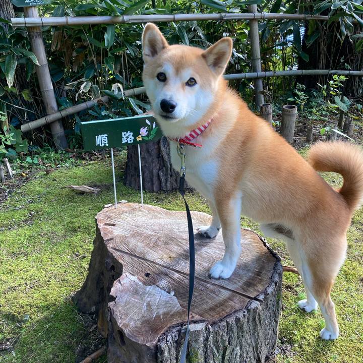 5e34bfee 76d7 40a4 af9d c5b9ea6696f9 1667643880780