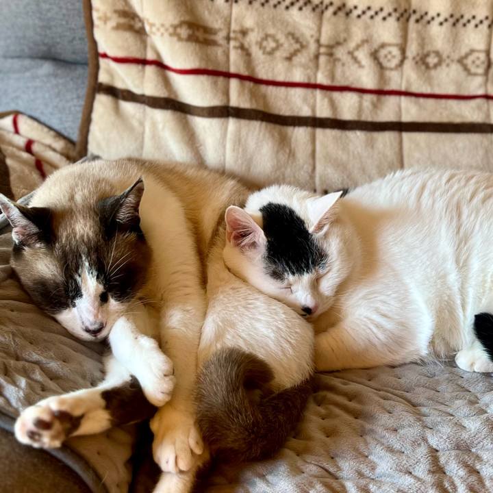 5e34fb1a eff4 4b56 8671 25bdd1023f94 1773643079695