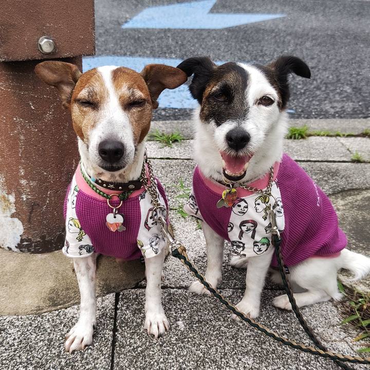 5e350dfa 4f70 40d1 8223 b3febf91b0c1 1750024686362