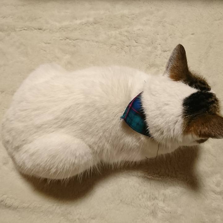 5e3541bb e9f8 414d a6e4 70b61ea458ce 1571761966156