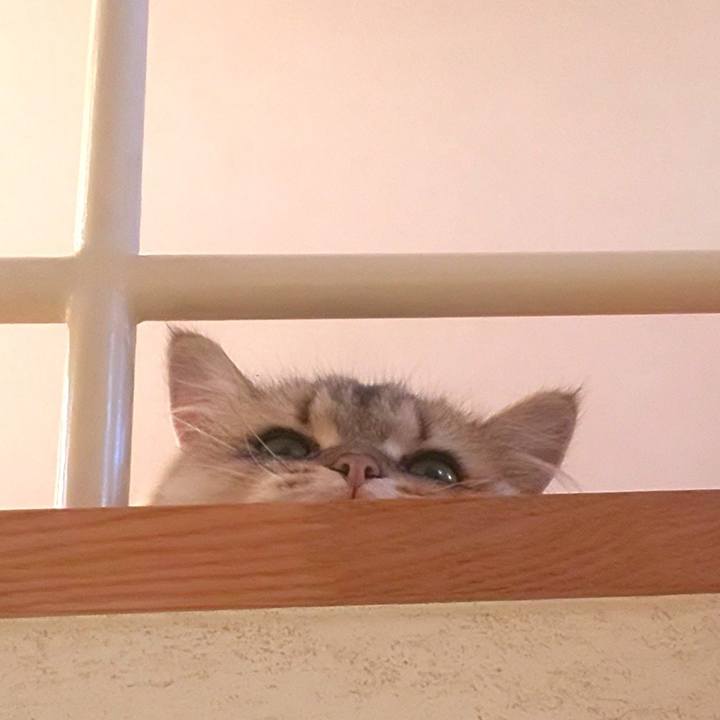 5e355eb7 6587 4e3e 8f46 d33ec471b4a3 1598237967214