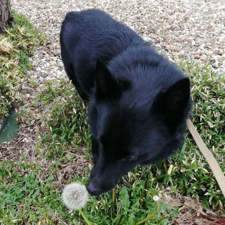 5e3574d0 eaba 4716 be71 12595c9e7976 1617488743434