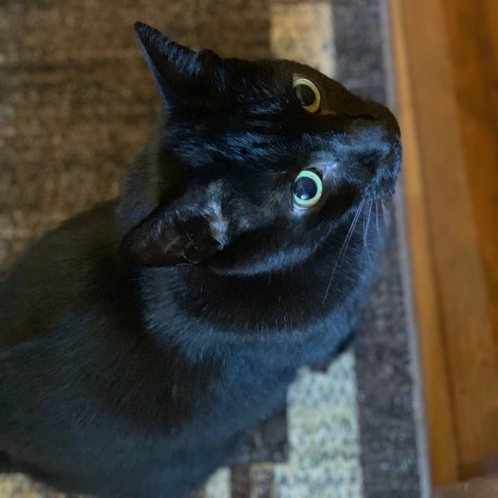 5e358b76 4245 4618 b383 523dbee586f3 1540518999543