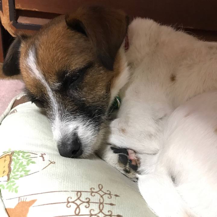 5e359fd5 41bc 406b 97d8 38d569bdc591 1512038079665