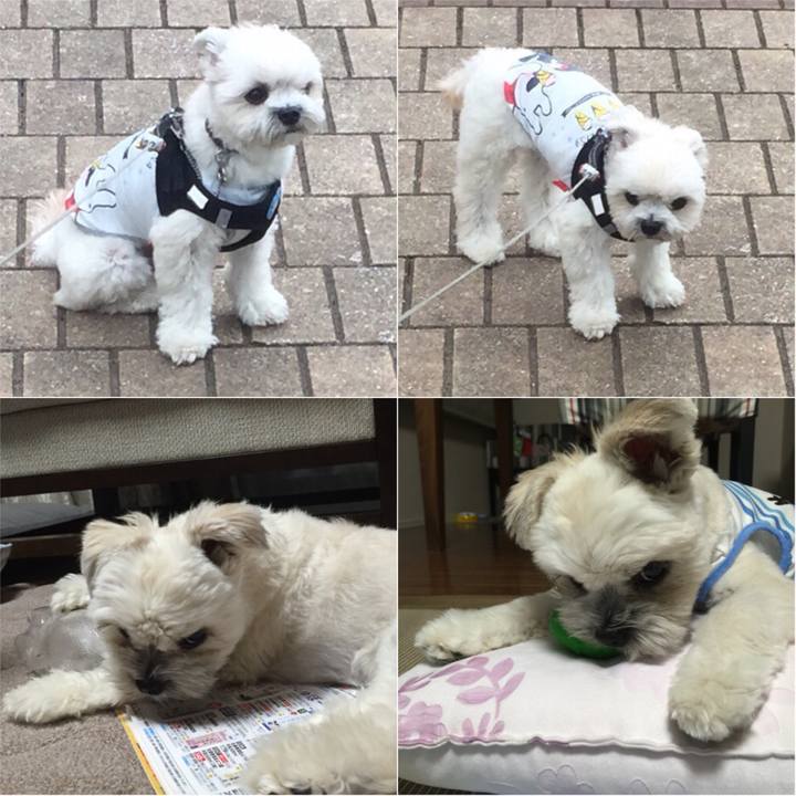 5e35b022 84ff 4041 a0d9 608006f474a6 1524222783743