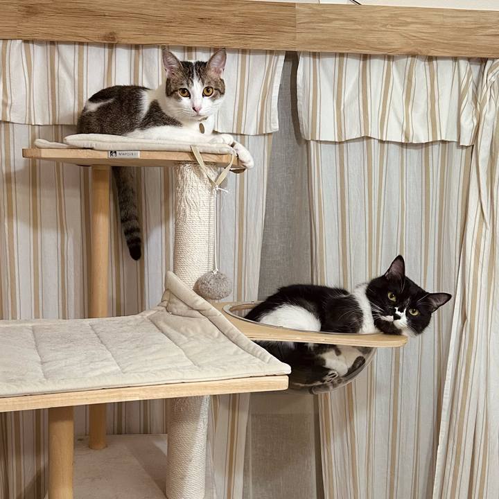 5e361006 3c86 4450 bf9b d30fe8cbd02e 1760609335796