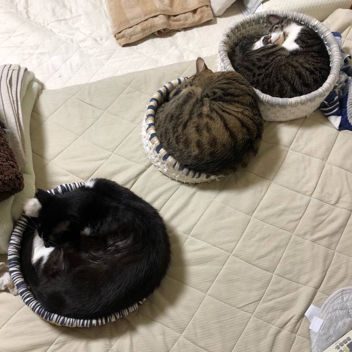 5e3643d7 da79 42be 96e9 a1deab38710a 1625311771317