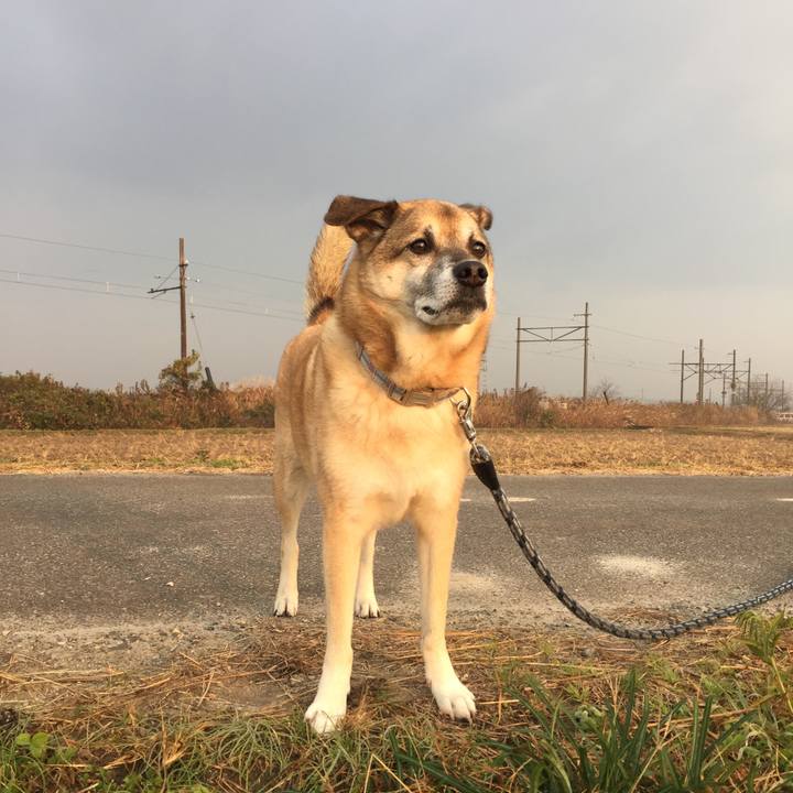 5e368b42 1979 40de b21e adbabbcfadd2 1576106107737