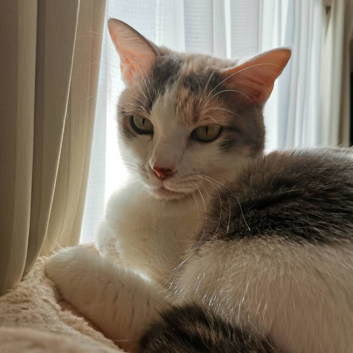 5e36bd0b 78dd 4cc1 8576 263417d62bc0 1633774460523