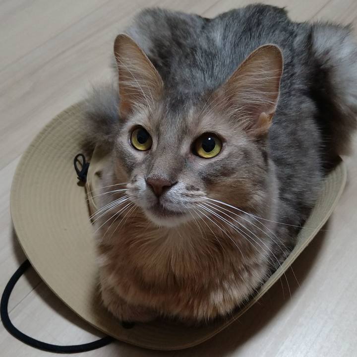 5e36e065 56e5 478a 93f0 ed19c1490a0a 1598702234308