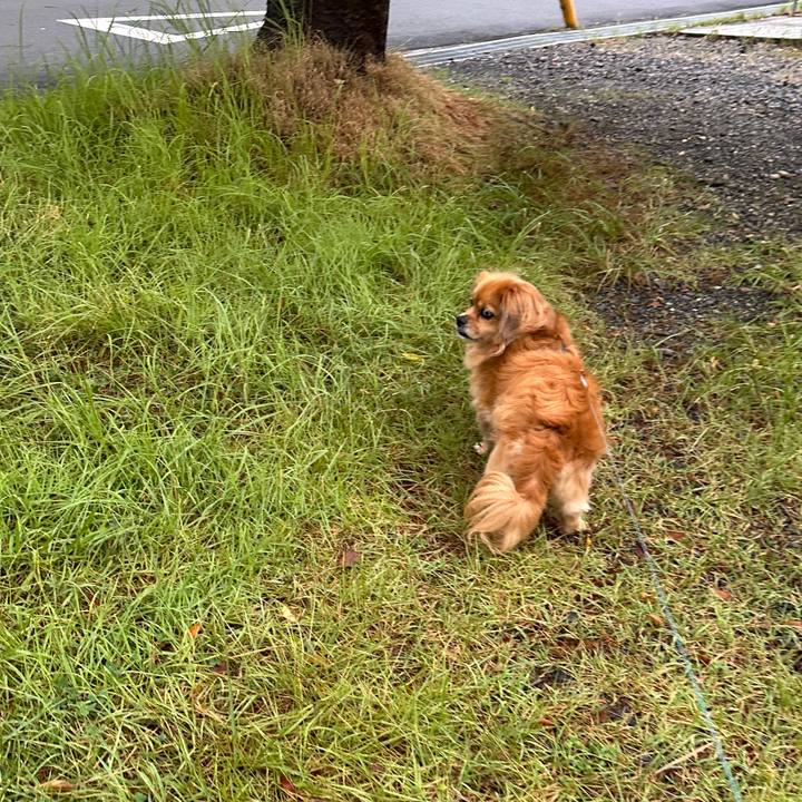 5e3731b5 5a1d 4efb 92b1 0e10b0375bb8 1692134466259