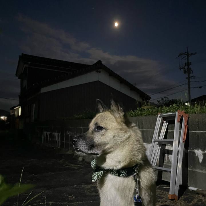 5e3750c8 5ed1 4220 bbab c87bf6c54347 1664975885917