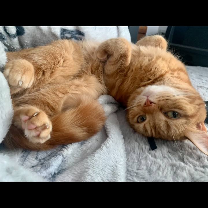 5e377752 1305 4a8d 97ad a42d00b1a63d 1666487576868