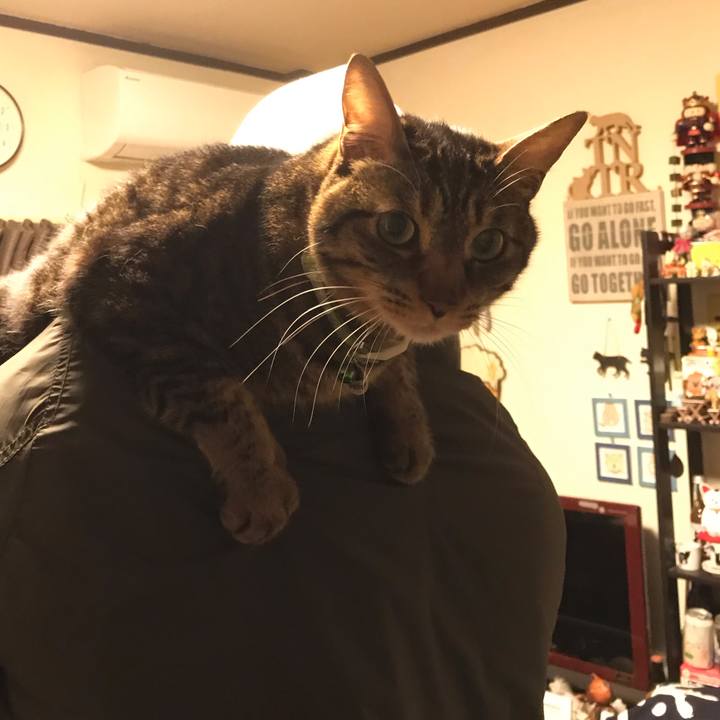 5e379014 a1f3 4d92 9f76 fcb4e7f546a8 1584015442757